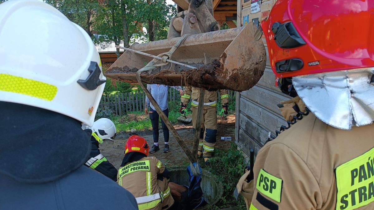 Zwierzę trzeba było wyciągać z pomocą koparki
