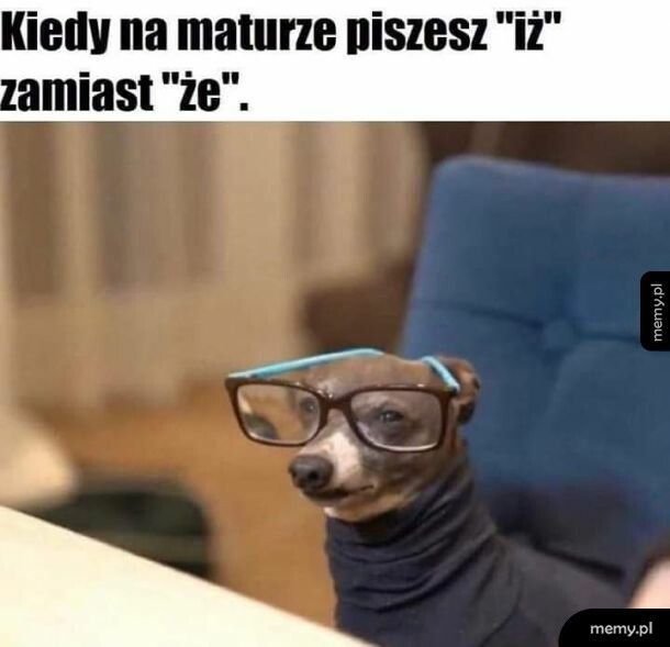 Memy matura 2026