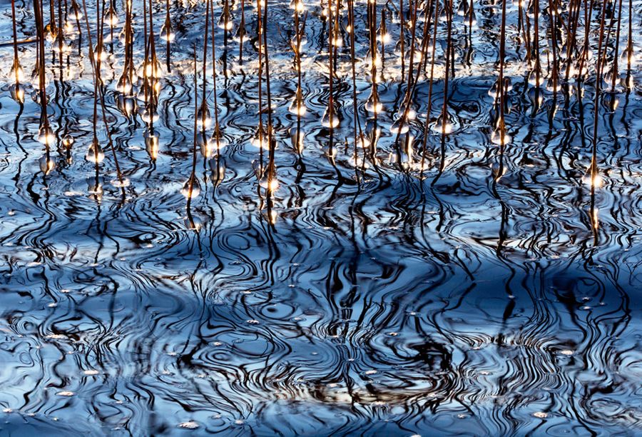 Polacy wśród zwycięzców prestiżowego International Photographer of the Year 2016 27