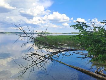 Gmina chce kupić wyspę. Nie chcą powtórki z zamkiem w Stobnicy