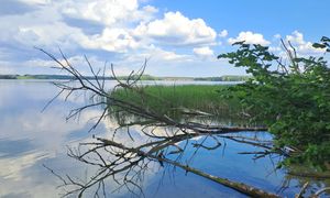 Gmina chce kupić wyspę. Nie chcą powtórki z zamkiem w Stobnicy
