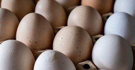 Takie jajka mają najwięcej wartości, ale wielu je omija. Duży błąd