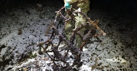Podkarpacie. Ktoś uparcie montuje "zabójcze kolce". Wpadł w nie leśnik