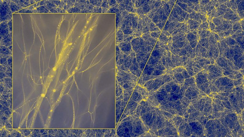 Ten obraz pochodzi z badań przeprowadzonych w 2020 r., został wygenerowany komputerowo. Sugeruje, że rozmieszczenie materii we Wszechświecie przybiera formę kosmicznej sieci.