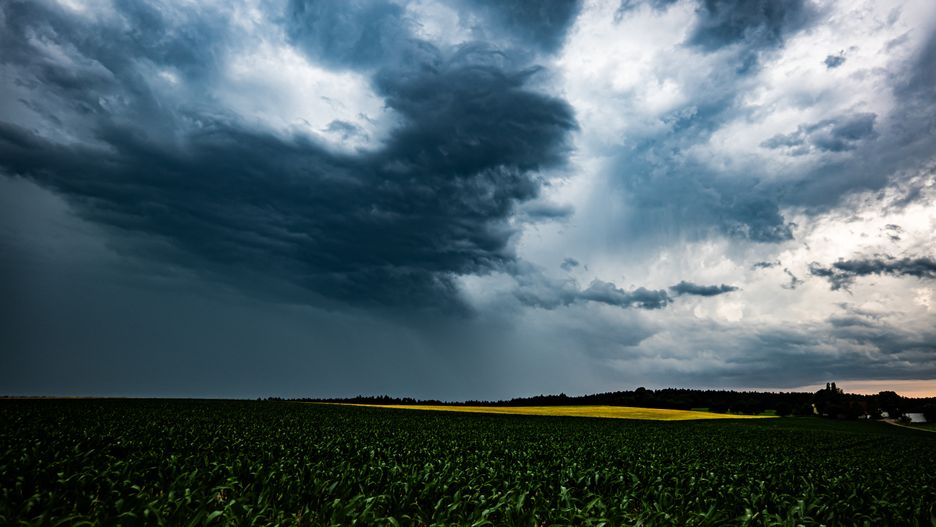 wolkenbruch, gewitter, gewitterwolke, regenfront, auftürmend, bayern, bedrohlich, bewölkt, cumulonimbus, cumulus, dramatisch, dunkel, dunkle, freising, gefahr, gefährlich, gewittercluster, gewitterwolken, himmel, klima, klimawandel, kumulonimbus, landkreis freising, landschaft, oberbayern, quellwolken, regen, regenwolken, spektakulär, starkregen, sturm, sturmbewölkung, superzelle, unwetter, unwetterwarnung, warnung, wetter, wiese, wolke, wolken, wolkenturm