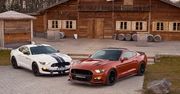 Ford Mustang Geiger GT 820 (2016) - supermustang w cenie 911 Carrery S