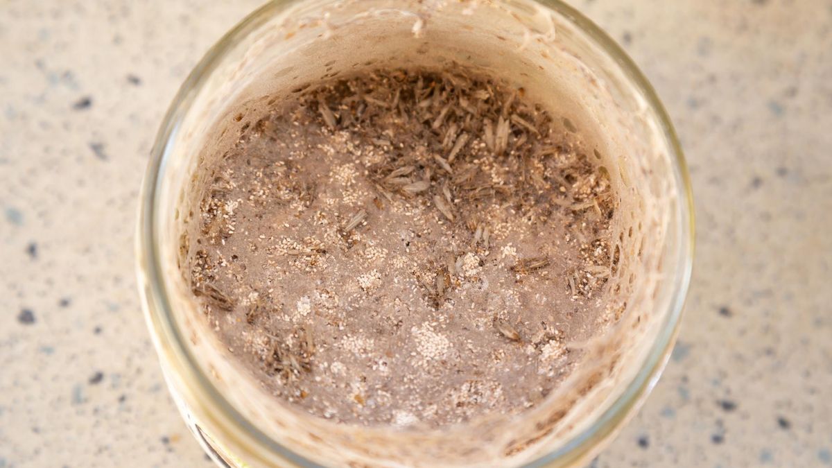 Wystarczy szczypta, a mole będą uciekać jak oszalałe