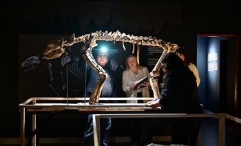 Tłumy zwiedzających podczas zakopiańskiej Nocy Muzeów 2026
