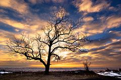 Flickr: Subiektywny przegląd zdjęć tygodnia 04 7