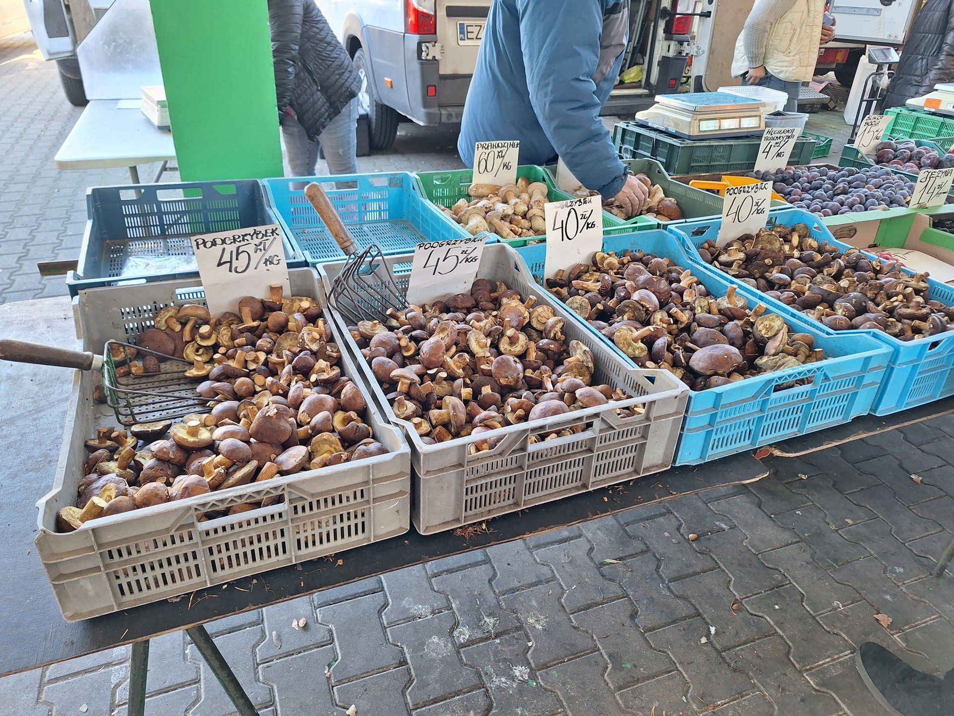 Grzyby na rynkach nie powalają swą jakością, ceny w tej sytuacji tez nie są najwyższe. Mimo to kupujących jest niewielu.