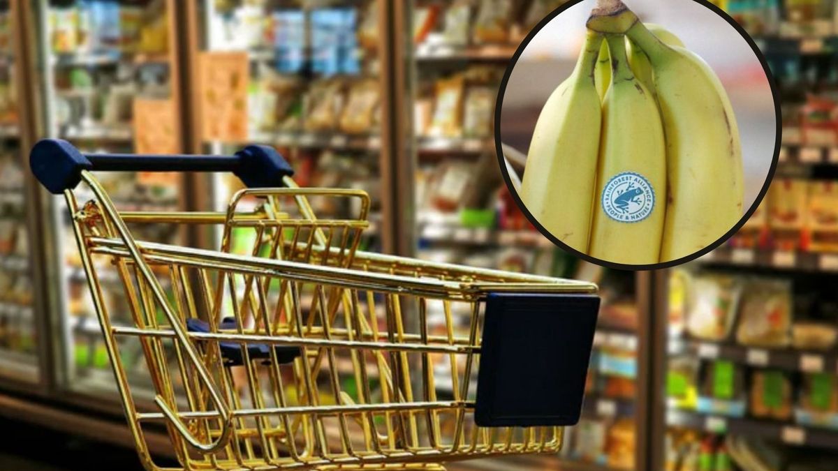 Symbol żaby na żywności. Co naprawdę oznacza?