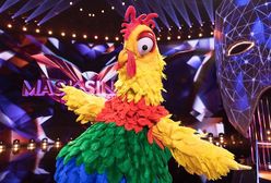 Kogut zdemaskowany? Dziennikarz TVN24 się wygadał