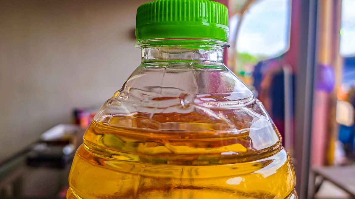 Nie tylko niezdrowy, ale także pozyskiwany w nieetyczny sposób. To najgorszy olej