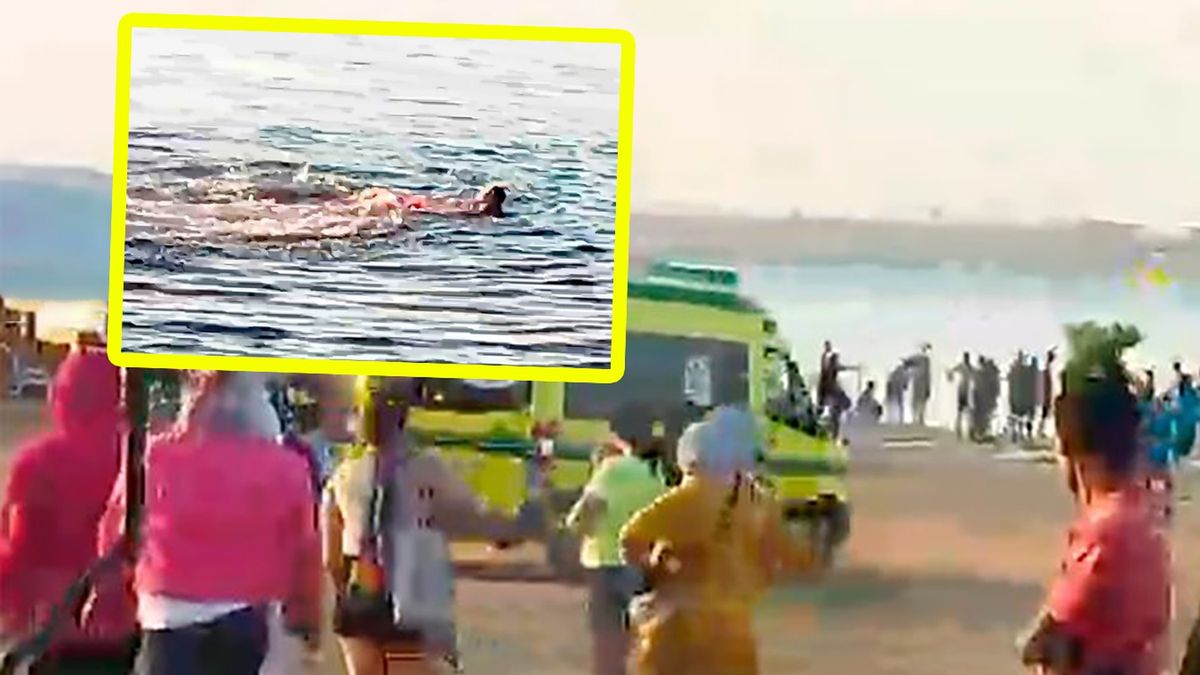 Kolejna ofiara ataku rekina w Egipcie. Nie żyje obywatelka Rumunii