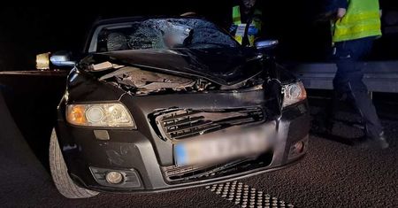 Przerażający wypadek w Wilkołazie. Mężczyzna wtargnął pod samochód na S19. Kierowca nie mógł nic zrobić