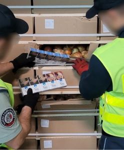 Jechał z Litwy z cebulą. Służby znalazły kontrabandę na 1,5 mln zł