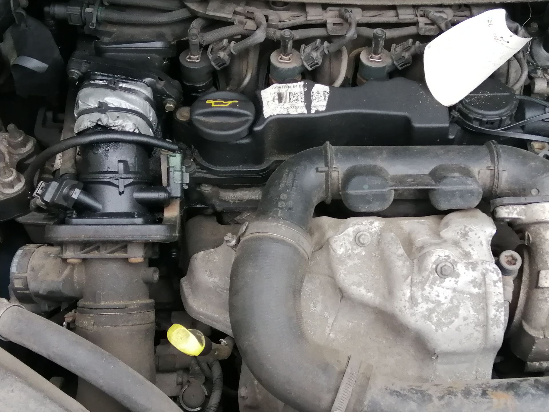 Doraźna naprawa taśmą, a później wizyta u mechanika. Tak może skończyć się "przygoda" z kuną poza domem
