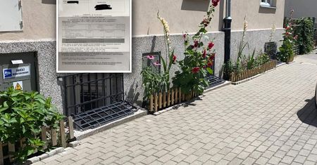 Zasadziła kwiaty przed kamienicą. Dostała pismo. "Ręce mi opadły"