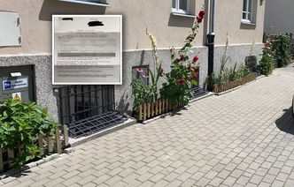 Zasadziła kwiaty przed kamienicą. Dostała pismo. "Ręce mi opadły"