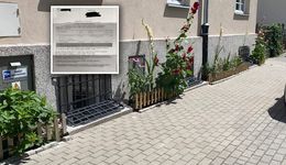 Zasadziła kwiaty przed kamienicą. Dostała pismo. "Ręce mi opadły"