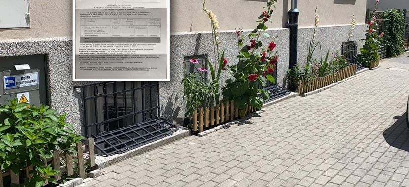 Zasadziła kwiaty przed kamienicą. Dostała pismo. "Ręce mi opadły"