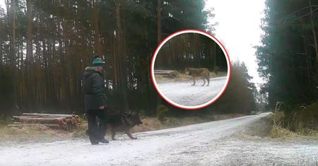 Ujęcia dzieli tylko godzina. Leśnicy: nie zdajemy sobie sprawy. Zobaczcie