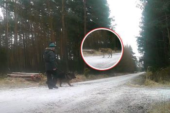 Ujęcia dzieli tylko godzina. Leśnicy: nie zdajemy sobie sprawy. Zobaczcie