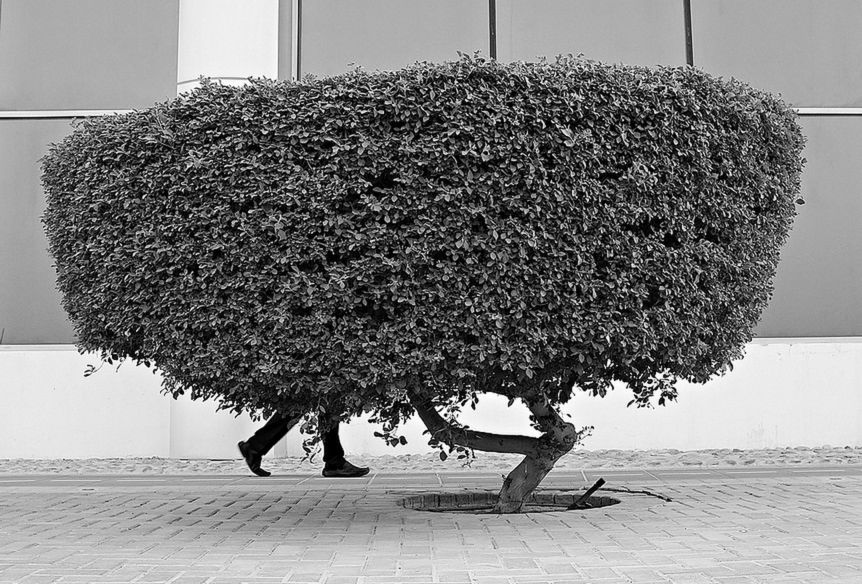 Najlepsze zdjęcia Miami Street Photography Festival 2015. Polak wśród wyróżnionych! 9