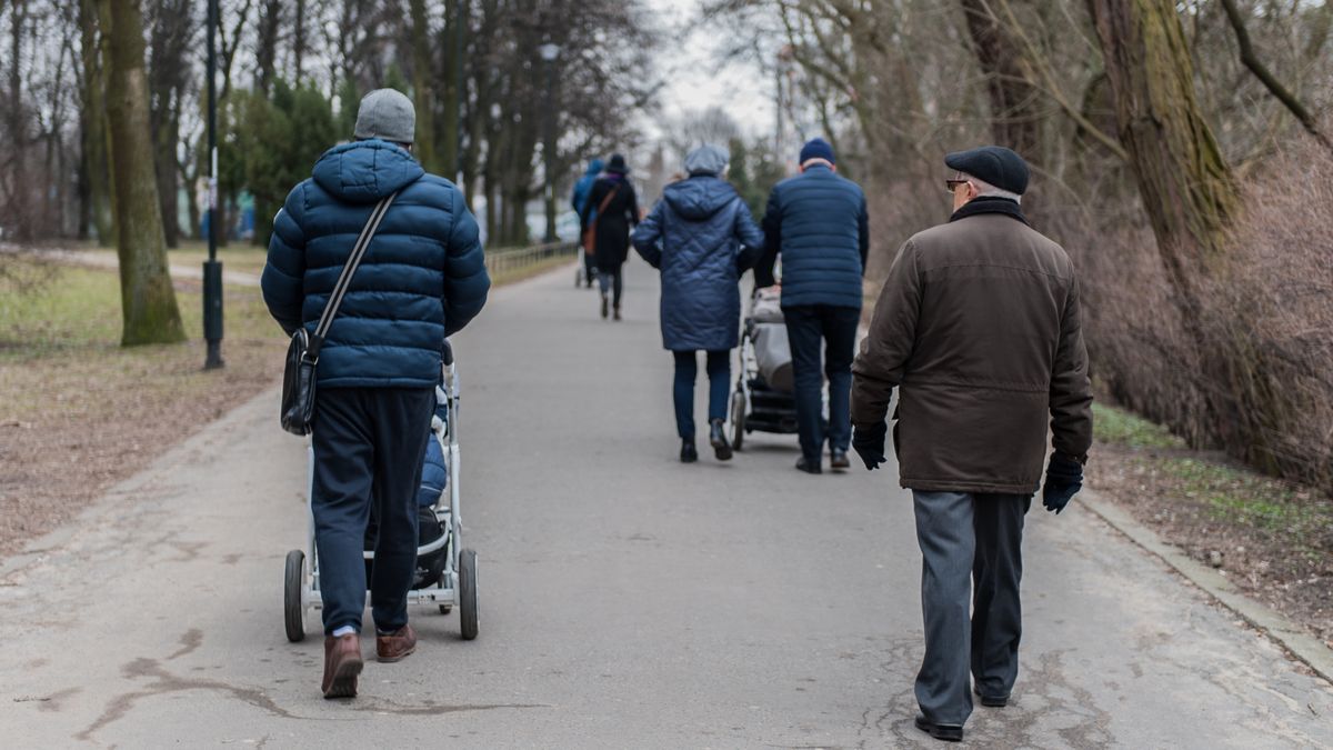 spacer
aleja, drzewa, dzieci, ludzie, ojciec, noworodek, osoba, park, rodzina, sezon, spacer, spacery, dziadek, osoba starsza, aleja, drzewa, dzieci, ludzie, ojciec, noworodek, osoba, park, rodzina, sezon, spacer, spacery, dziadek, osoba starsza