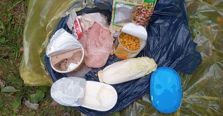 "Prezent" po turystach. Naprawdę to zostawili. Leśnicy zniesmaczeni