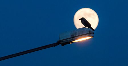 Wyłączą lampy uliczne o północy. Samorząd podjął trudną decyzję