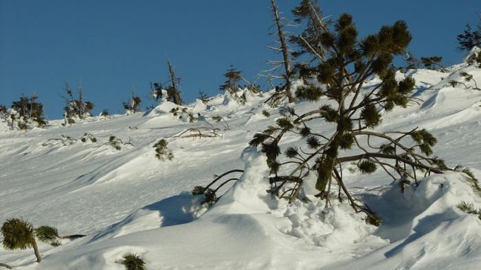 Ciepło - zimno... 1