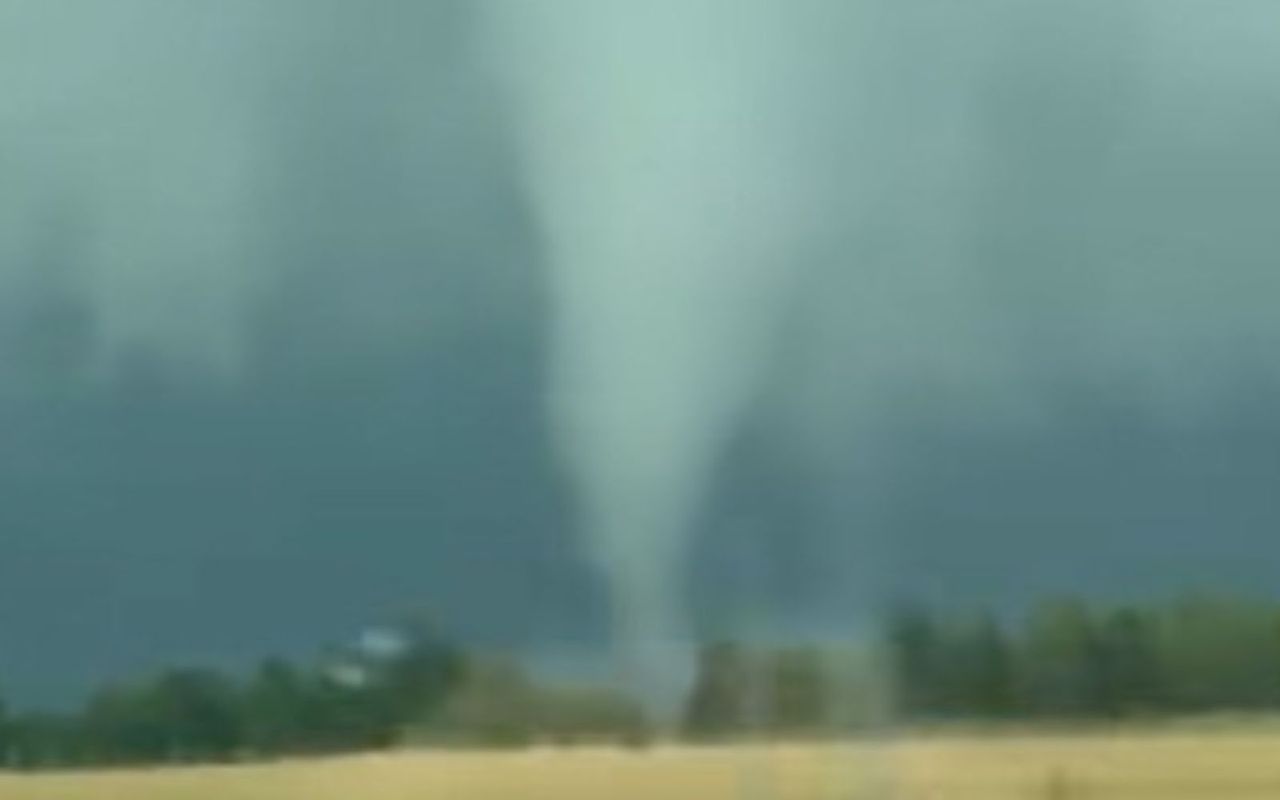 Pojawiła się na drodze S61. Nagranie z Ełku