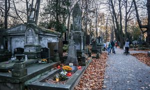 Usługi cmentarne przed Wszystkich Świętych. Oto ile kosztują