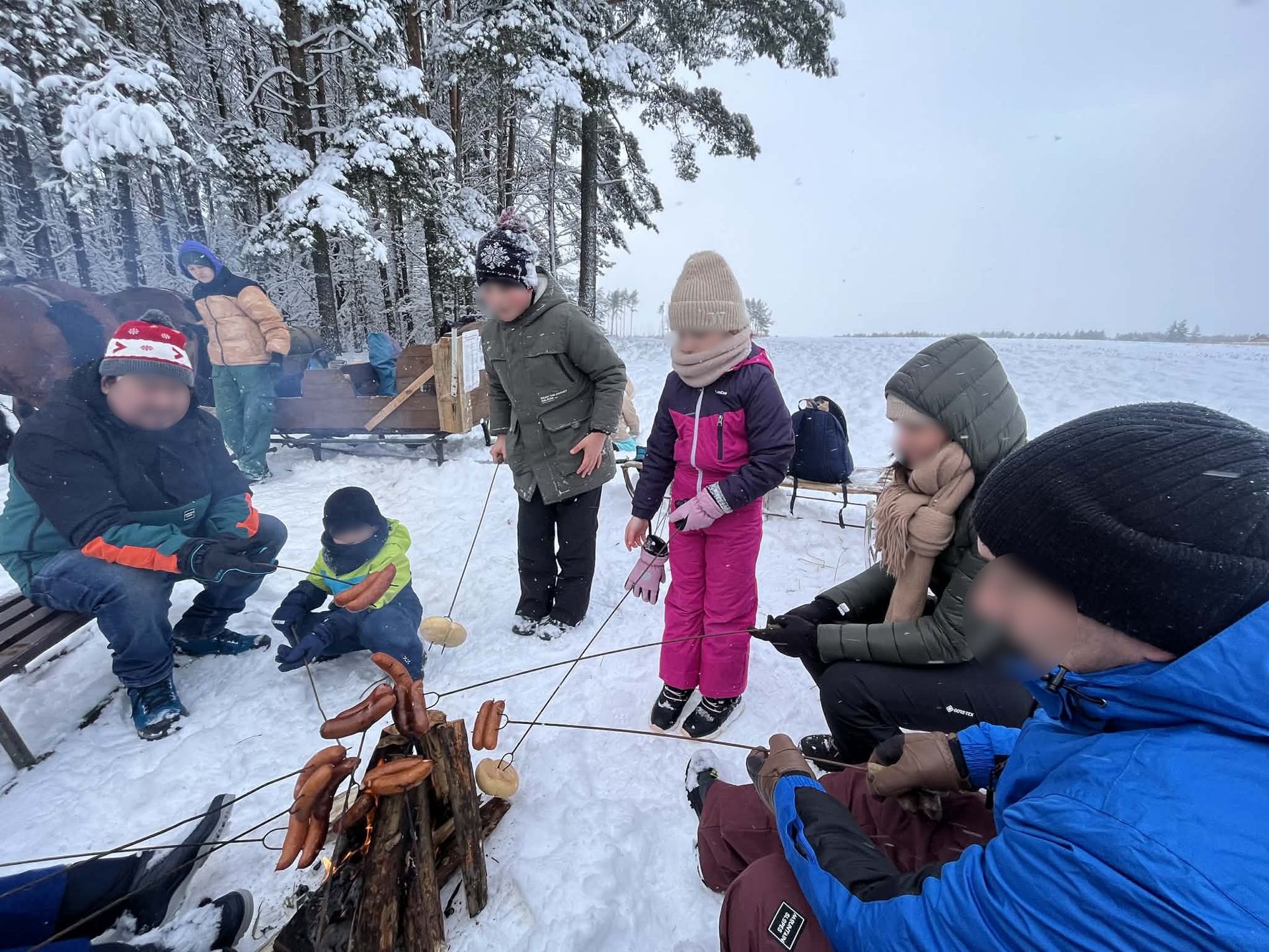 Częścią kuligu jest postój na polanie i pieczenie kiełbasek