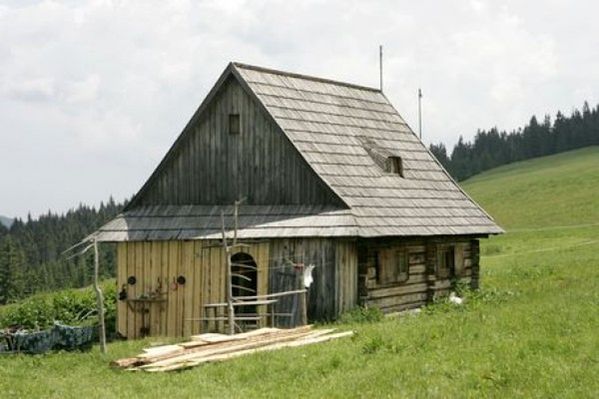 Obraz