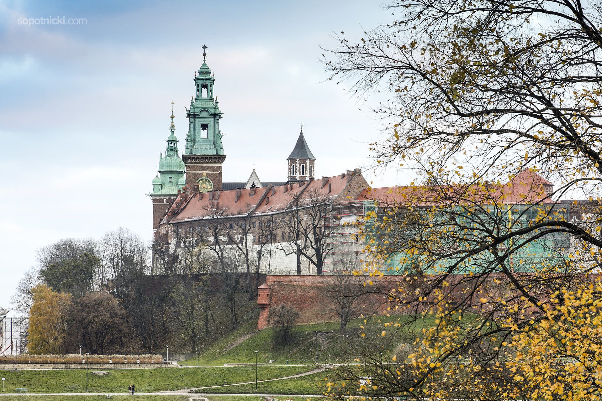 10 podstawowych rad, jak zacząć fotografować i zarabiać na fotografii stockowej 14