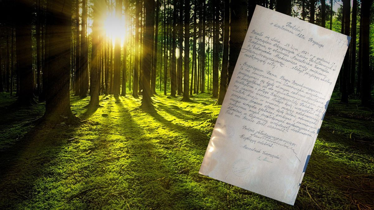 Las / dokument przysięgi leśnika