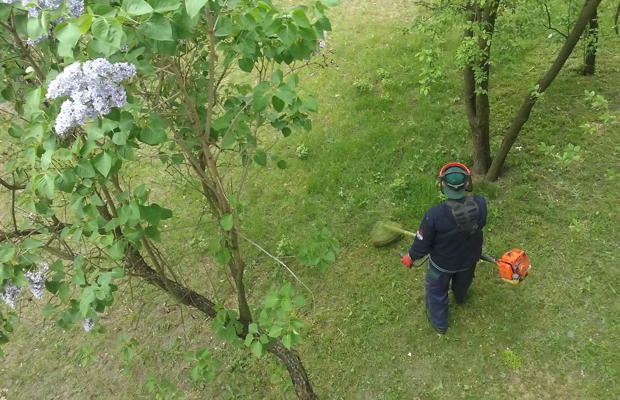 Nadeszła pora na koszenie trawnika. Jak zrobić to łatwiej, szybciej i lepiej?