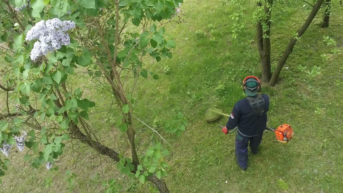 Ogrodnik kosi trawę wykaszarką