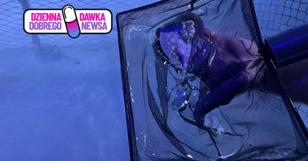 Niezwykłe narodziny w zoo. To pierwszy taki przypadek w Polsce