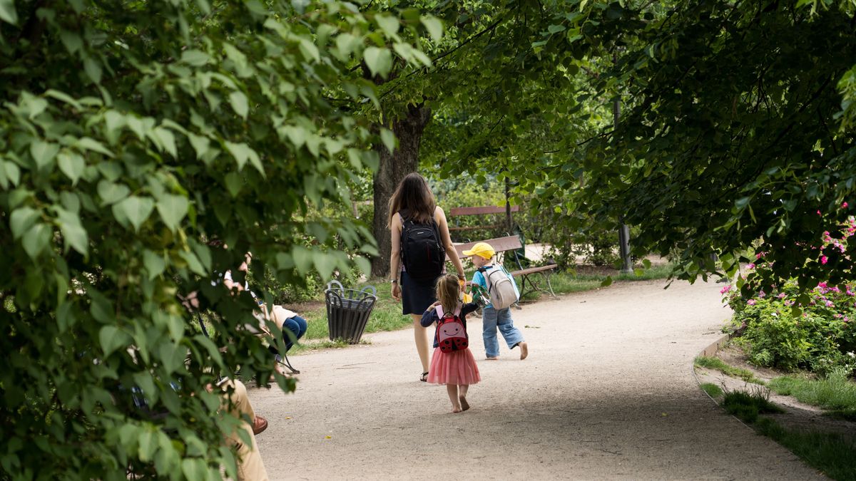 park spacer rodzina dziecko matka ludzie drzewa zieleń 