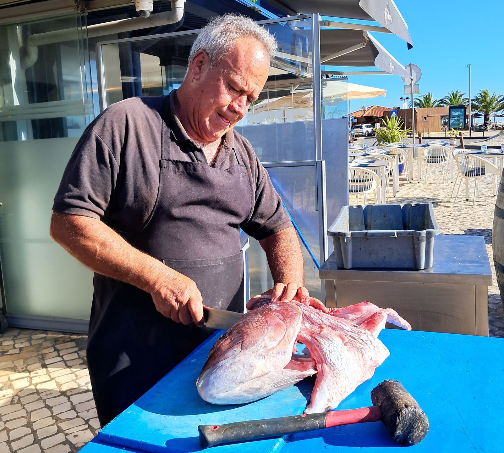 Alvor urzeka spokojem i autentycznością