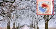 Co czeka Polaków zimą? Wir polarny zaskakuje meteorologów