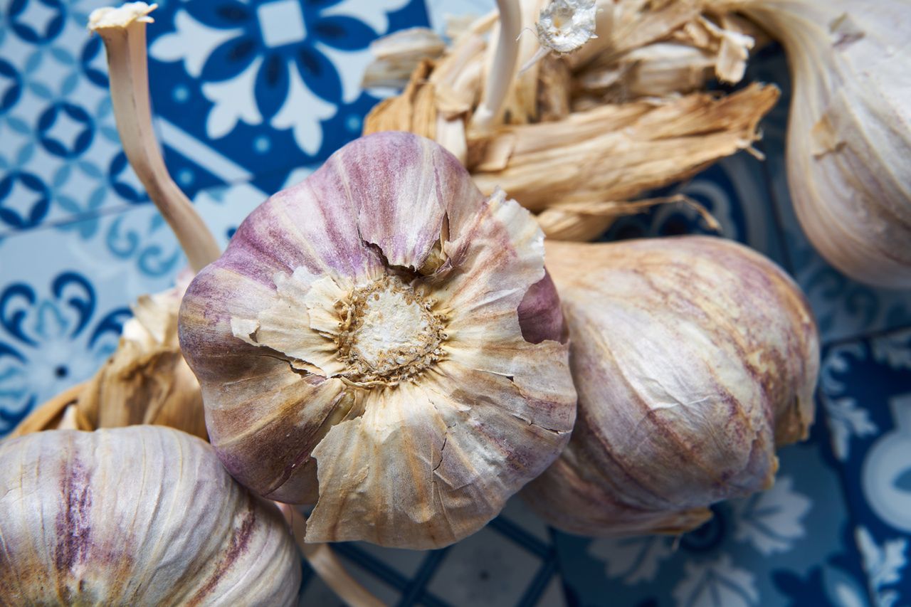 Czosnek a odporność