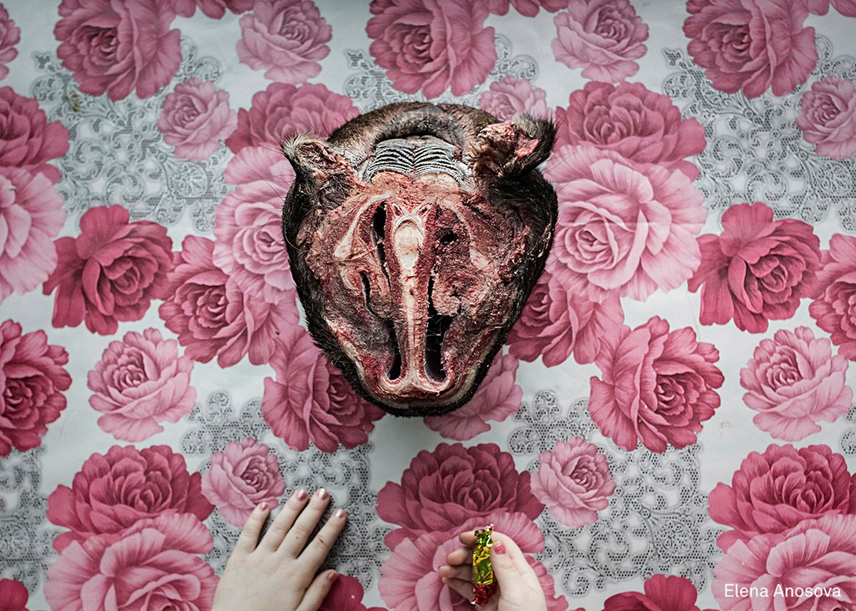 Burhan Ozbilici autorem zdjęcia roku w World Press Photo 2017. Zobaczcie pozostałych nagrodzonych 25
