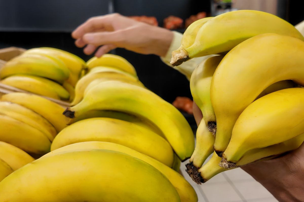 Kiedy wybierasz banany w sklepie, spójrz na ogonki