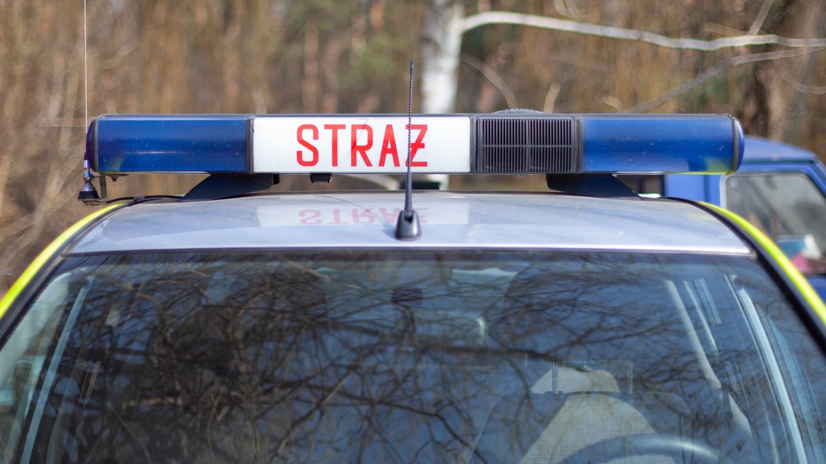 Straż, straż pożarna