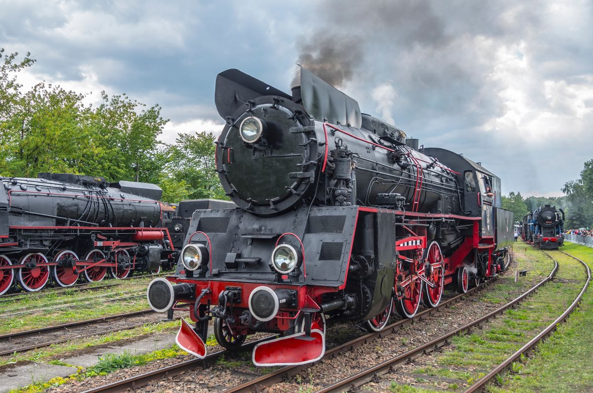 Skansen organizuje przejazdy retro pociągami, które cieszą się ogromnym zainteresowaniem