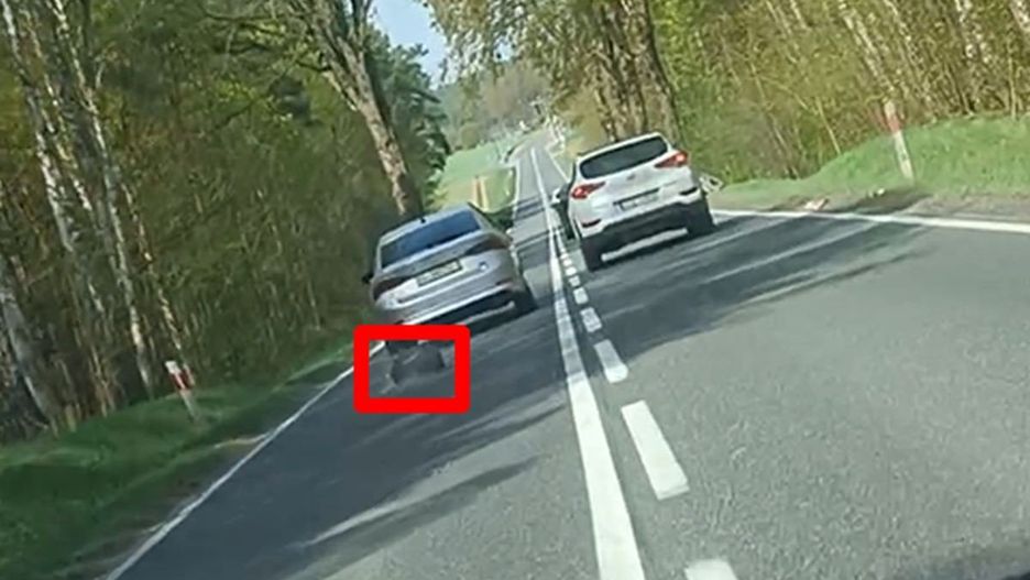 Napad na dom w Kamieniu Krajeńskim